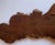 Wood Large Antique Carved Oak Sunburst Rose and Pomegranate Pediment - For Sale - Image 7 of 8