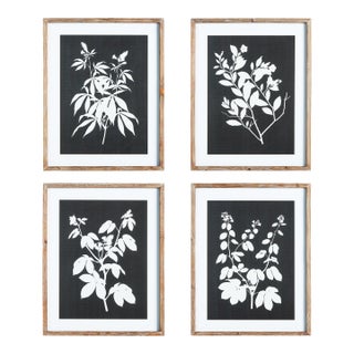 Monochrome Botanical Prints, Set Of 4 For Sale