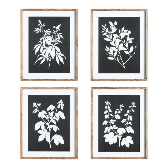 Monochrome Botanical Prints, Set Of 4 For Sale