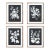 Monochrome Botanical Prints, Set Of 4 For Sale