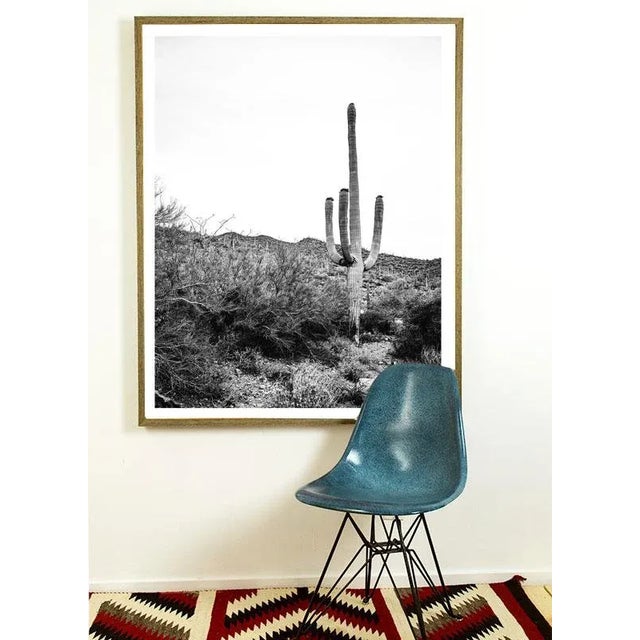 Contemporary Southwest Desert Cactus Photo in Black and White – 40" X 60" For Sale - Image 3 of 6