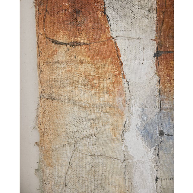 Early 21st Century Abstract Paint on Gauze, Framed, by Diane Petry For Sale - Image 5 of 17