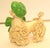 1950s 50s Porcelain Spaghetti Noodle Poodle Figurine Green Hat & Bow VTG Mid Century Modern For Sale - Image 5 of 7