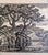 Mid-Century American Linocut Print "Kansas Landscape" by Birger Sandzen For Sale - Image 4 of 12