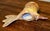 Brown 1970s Mid‑Century Willi Eggerman Studio Pottery Bird Sculpture For Sale - Image 8 of 11