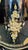 Vintage Victorian Credenza Marquetry Display Cabinet Carved and Painted by Hand For Sale - Image 9 of 14