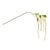 Transform your home with the elegance of nature using our Amaranthus Floral Stem Set! This collection of faux stems in...