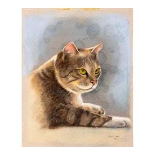 Henry Imms Tabby Cat Pastel on Toned Paper, 1981 For Sale