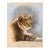 Henry Imms Tabby Cat Pastel on Toned Paper, 1981 For Sale