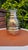 Vintage Silver-Plated Vase with Glass Insert, 1890s, Set of 2 For Sale - Image 10 of 11