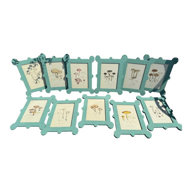 Late 19th Century Mushroom Watercolors in Custom Faux Burlap Painted Frames by Fabulous Things For Sale