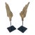Distressed Neoclassical Wood Carved Wings on Iron Bases, Italy, 1900s For Sale