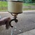 Antique roman gold finish to this unique wall light - cream glass & metal shade is removable - quality construction - One...