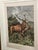 Late 19th Century Louis Prang Deer Engravings in Burl Wood Style Frames - Set of 4 For Sale - Image 11 of 16