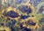 1960s Oil on Board of Sunflowers Signed Anton Weiss For Sale - Image 5 of 10
