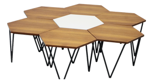 Coffee Tables by Gio Ponti for Isa Bergamo, Italy, 1950s, Set of 7