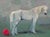 Dissolution by Shelli Langdale | Oil on gallery canvas of a white horse beside a red ball For Sale