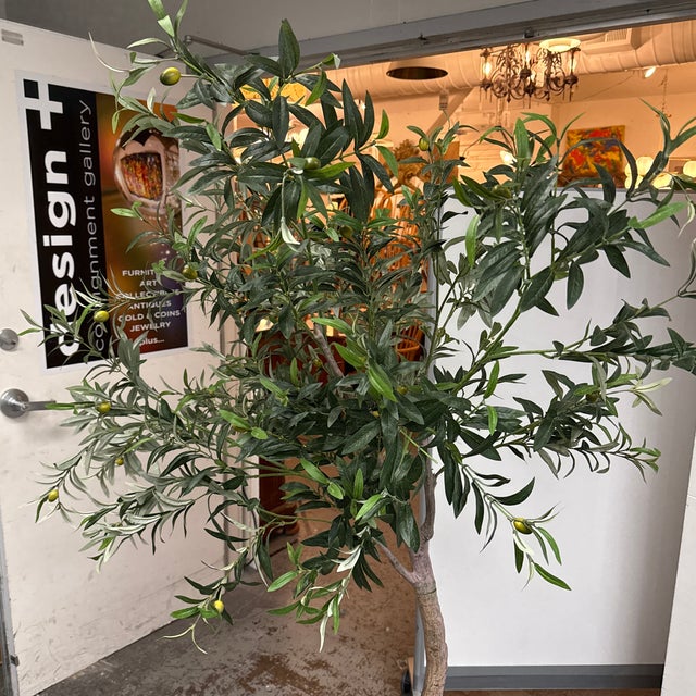 Faux Olive Tree + White Planter For Sale - Image 4 of 12