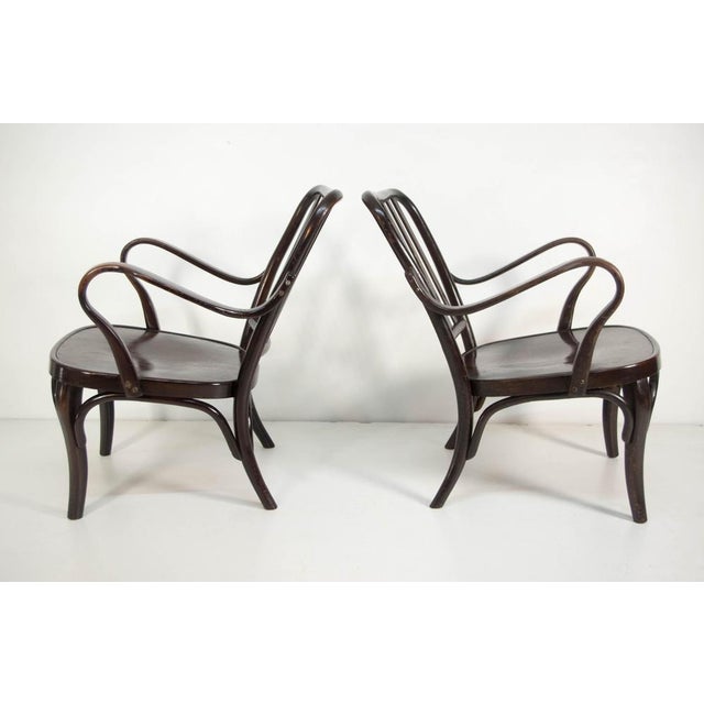 Set of Armchairs No. 752 attributed to Josef Frank for Thonet, 1930s For Sale - Image 6 of 14