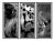 Trowbridge “Tiger” Photo Triptych by Jamie Thorn Set of 3 For Sale