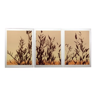 1980s Jim Boutwell "Hinterlands I, II, III" Triptych Signed and Numbered Art Serigraphs - Set of 3 For Sale