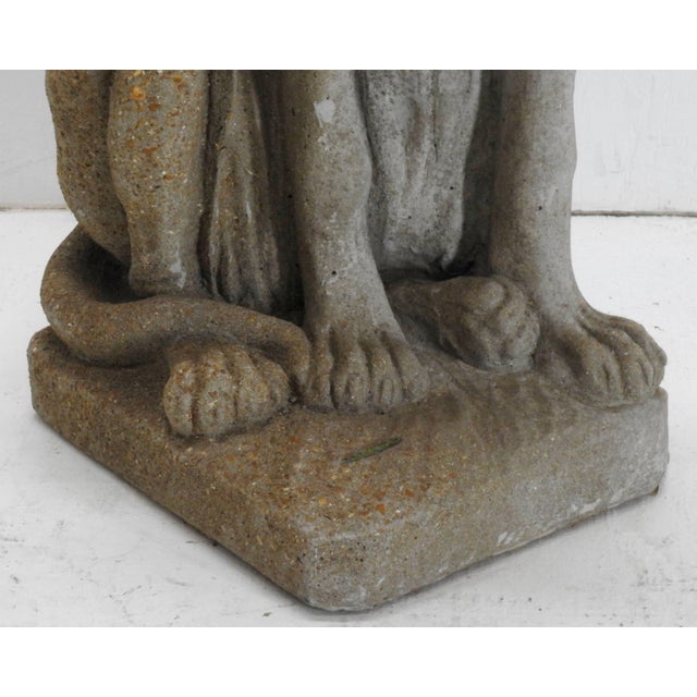 1900 - 1909 Early 20th Century Cast Stone Whippet Statue For Sale - Image 5 of 8