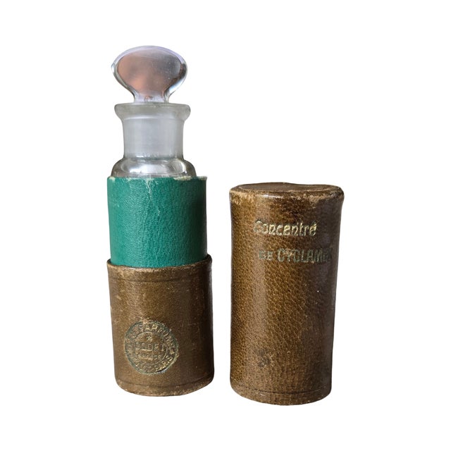 French Antique French Crystal Perfume Bottle & Leather Case For Sale - Image 3 of 10