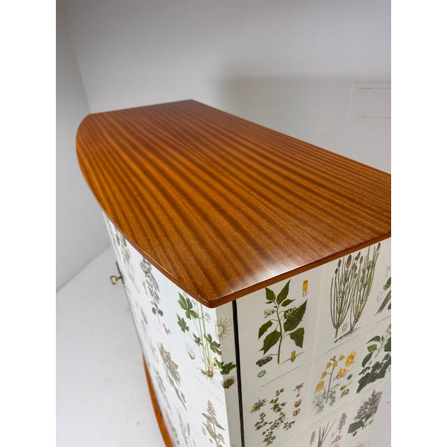 1950’s Swedish Curved Front Cabinet With Nordens Flora Illustrations For Sale - Image 11 of 13