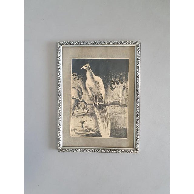 Birds, Lithograph, Framed For Sale - Image 6 of 7