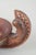 Vintage Hand-Carved Wooden Bowl by Germund Paaer for Kalevala Koru, 1930s For Sale - Image 3 of 5