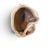 Vintage Italian Glazed Terracotta Monkey Sculpture in Contemplative Pose For Sale - Image 12 of 12