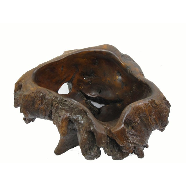 Dark Brown Organic Sculptured Bowl For Sale - Image 4 of 8