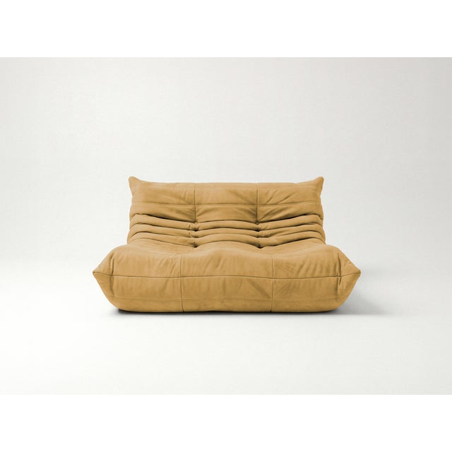 Togo Sofa in Curry Microfiber by Michel Ducaroy for Ligne Roset, Set of 5 For Sale - Image 6 of 13