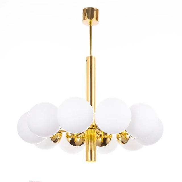 Gold 10 Arm Brass Chandelier from Kaiser Leuchten, Germany, 1970s For Sale - Image 8 of 8