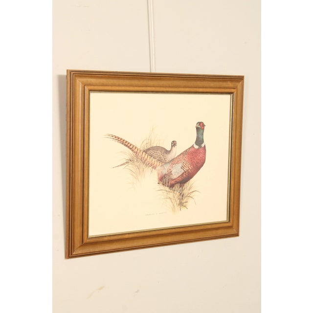 Traditional 1980s Charles E. Murphy 'Ring Neck Pheasant' Lithograph, Custom Framed For Sale - Image 3 of 13