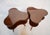 1950s Pair of Mid-Century Three Leaf Clover / Cloud Side Tables For Sale - Image 5 of 18