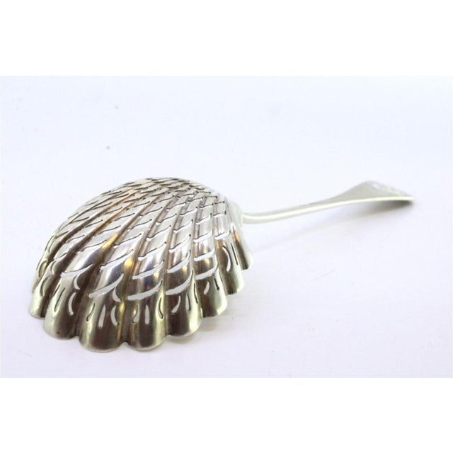 Metal Shell-Shaped Silver Sprinkling Spoon with Guilloche Handle For Sale - Image 7 of 9