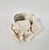 Late 20th Century Rare Natural Cups Coral Specimen For Sale - Image 5 of 8