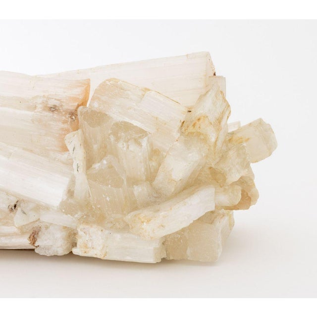 Glass Selenite Crystal Jardiniere For Sale - Image 7 of 11