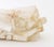 Glass Selenite Crystal Jardiniere For Sale - Image 7 of 11
