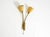 Mid-Century Modern Brass Wall Lamp with Gooseneck and Double Shade by Cosack Leuchten, 1950s For Sale - Image 6 of 18