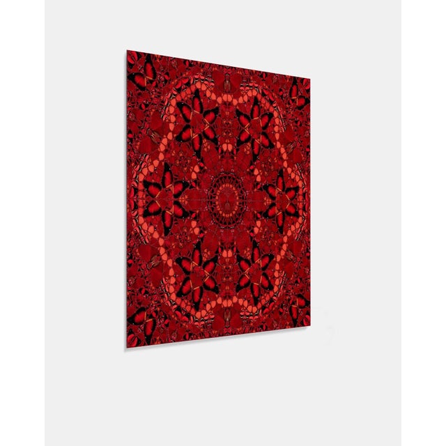 Abstract Damien Hirst the Empresses Wu Zetian H10-1 For Sale - Image 3 of 4