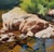 This oil painting captures a serene landscape where sunlight dances across a rocky shoreline, reflecting vibrant hues in...