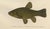 Smelt and Capelin and Tench, 1895, Paper For Sale - Image 4 of 10
