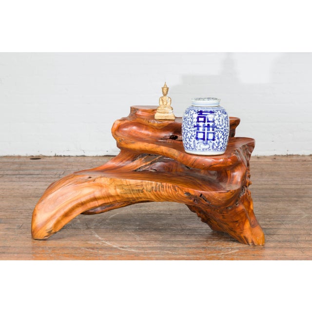 Mid 20th Century Indonesian 20th Century Lacquered Root Stand Drilled to Work as a Fountain For Sale - Image 5 of 13