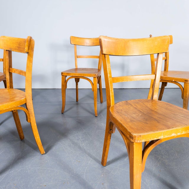 Honey Bentwood Dining Chairs from Baumann, 1950s, Set of 6 For Sale - Image 6 of 12