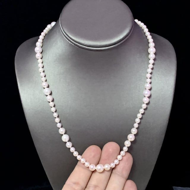 Akoya Pearl Necklace 14k Yellow Gold Certified For Sale - Image 9 of 11