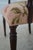 Set of 8 Antique Sheraton Mahogany Dining Room Armchairs For Sale - Image 17 of 18