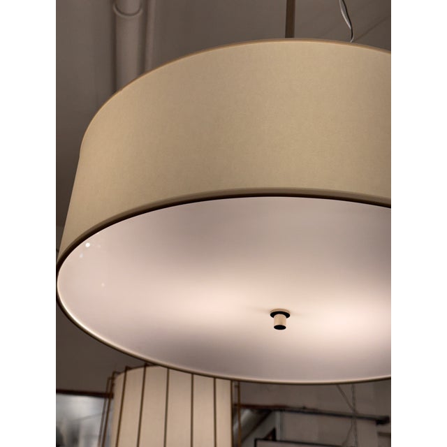 Contemporary Thomas O’Brien for Visual Comfort Reed Hanging Shade For Sale - Image 3 of 12