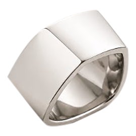 Example of Frank Gehry Jewelry and Accessories